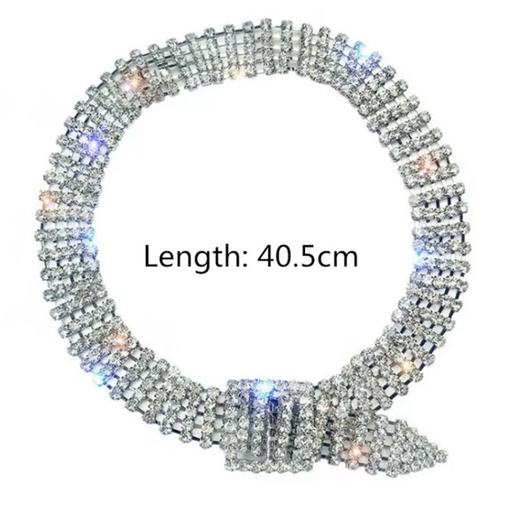 🌟 Silver Rhinestone Choker Necklace - Picture 5 of 5